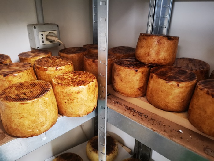 Le direzioni del Gusto di Carlo Donzelli
