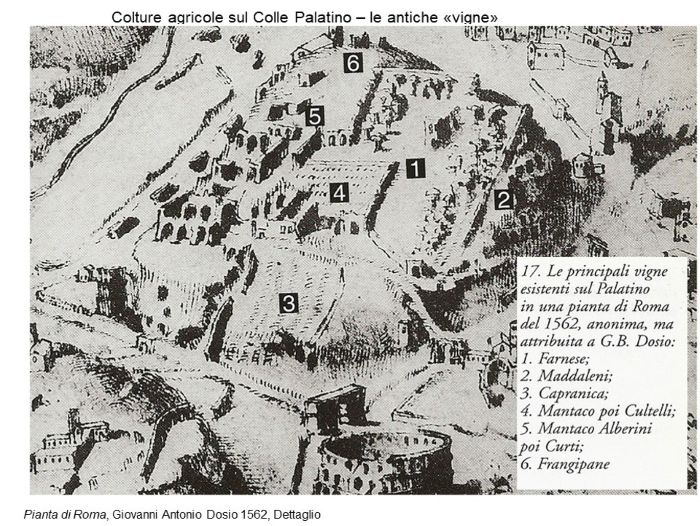 Mappa del 500 con le vigne di Roma