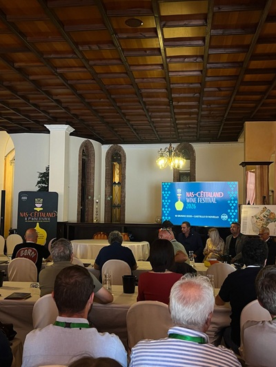 Nascettaland convegno