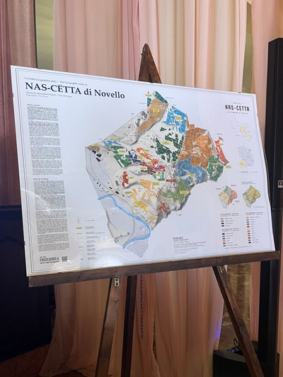 Nascettaland convegno