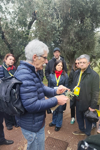 Palatino, Professor Riccardo Gucci