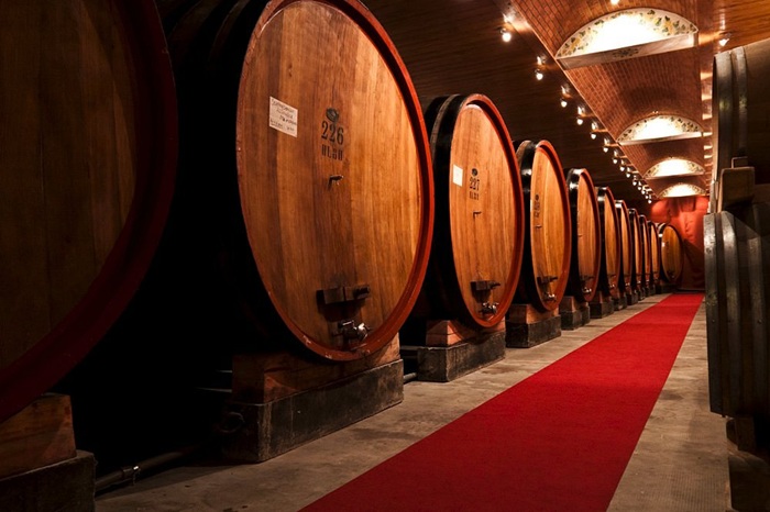 Cantina di Solopaca