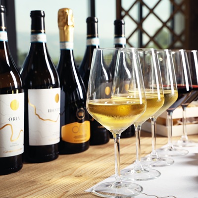 Cantina di Solopaca vini