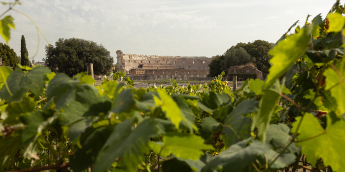 Il Colosseo visto dal Palatino