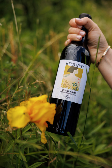 Cantina La-Vis Ritratti Chardonnay