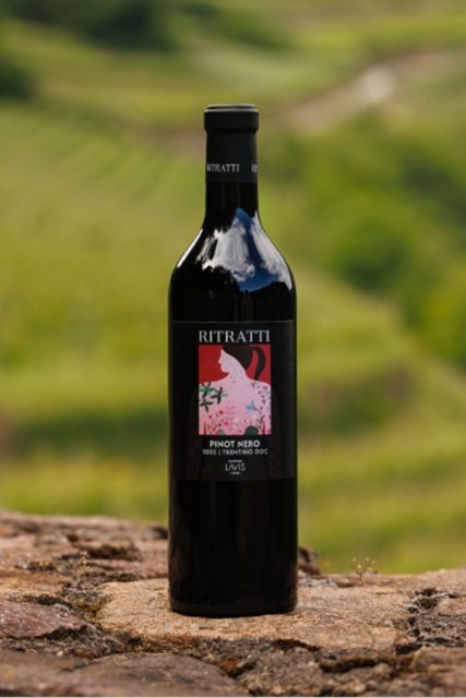 Cantina La-Vis Ritratti Pinot Nero