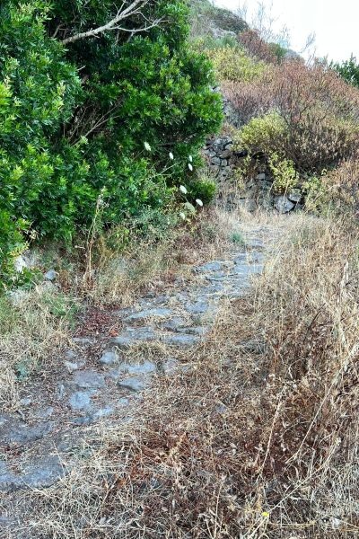 Antiche Cantine Migliaccio Ponza