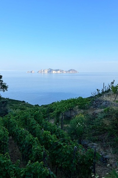 Antiche Cantine Migliaccio Ponza