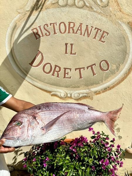 Ristorante Il Doretto - Cecina