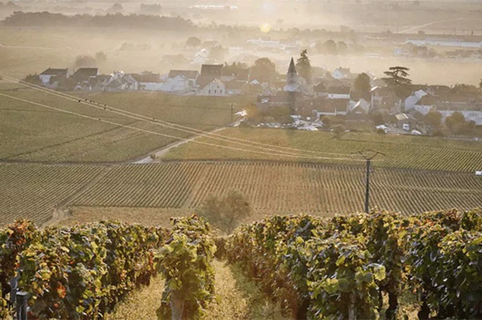 Meo Camuzet Corton Grand Cru