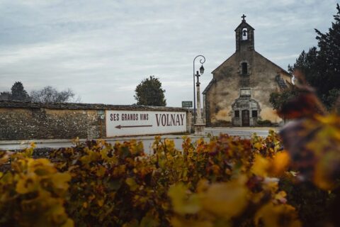 Pommard e Volnay Domaine de Montille
