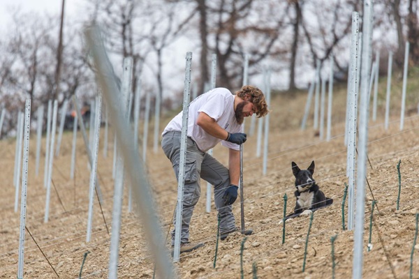 Working to till the soil