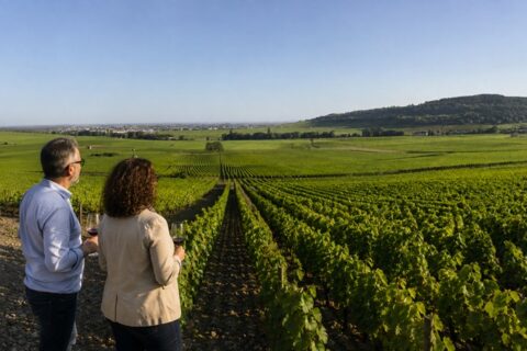 Côte de Beaune