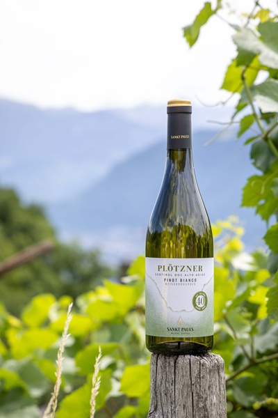 Cantina-Sankt-Pauls_Plotzner-Pinot-Bianco-2025_40esima-annata_nel-vigneto-originario-©AlexanderSchwarz