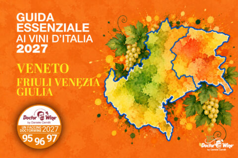 Faccini DoctorWine 2027 Veneto Friuli Venezia Giulia