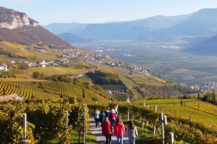 Kellerei Cantina Kurtatsch enoturismo