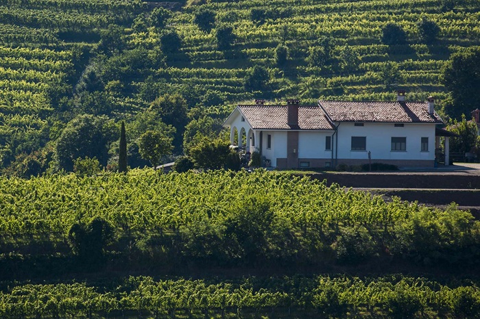 Colle Duga, Collio