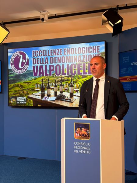 Report annuale valpolicella
