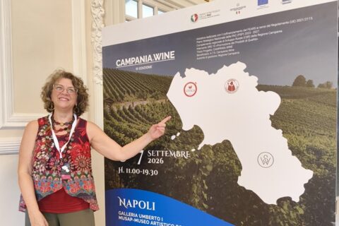 Campania Wine Stefania Vinciguerra