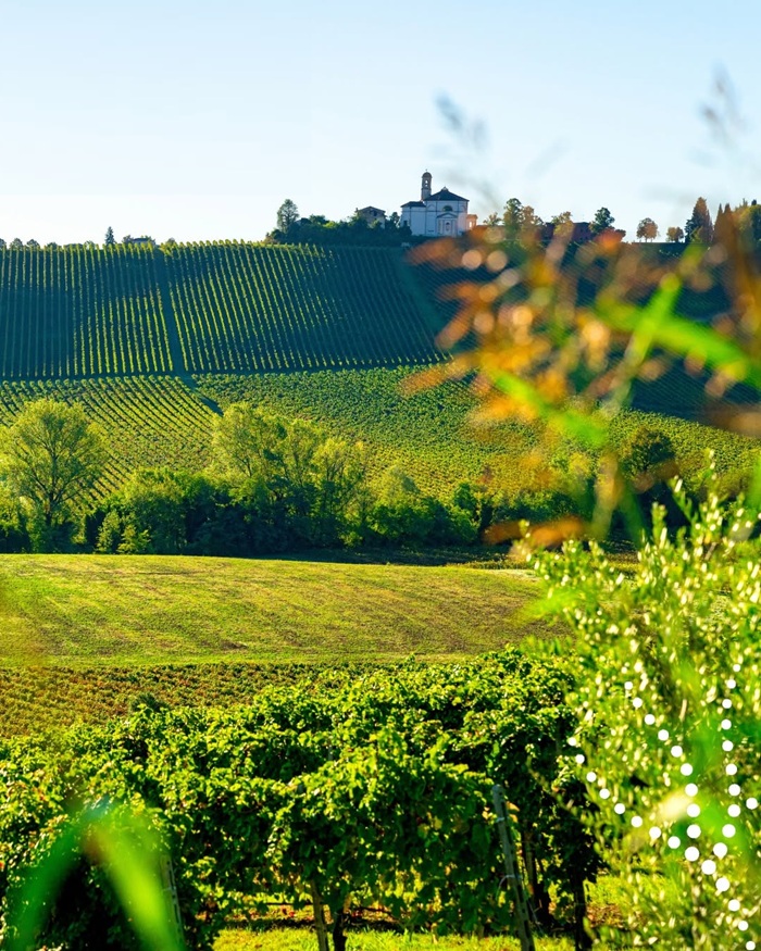 The Hills of Oltrepò Pavese