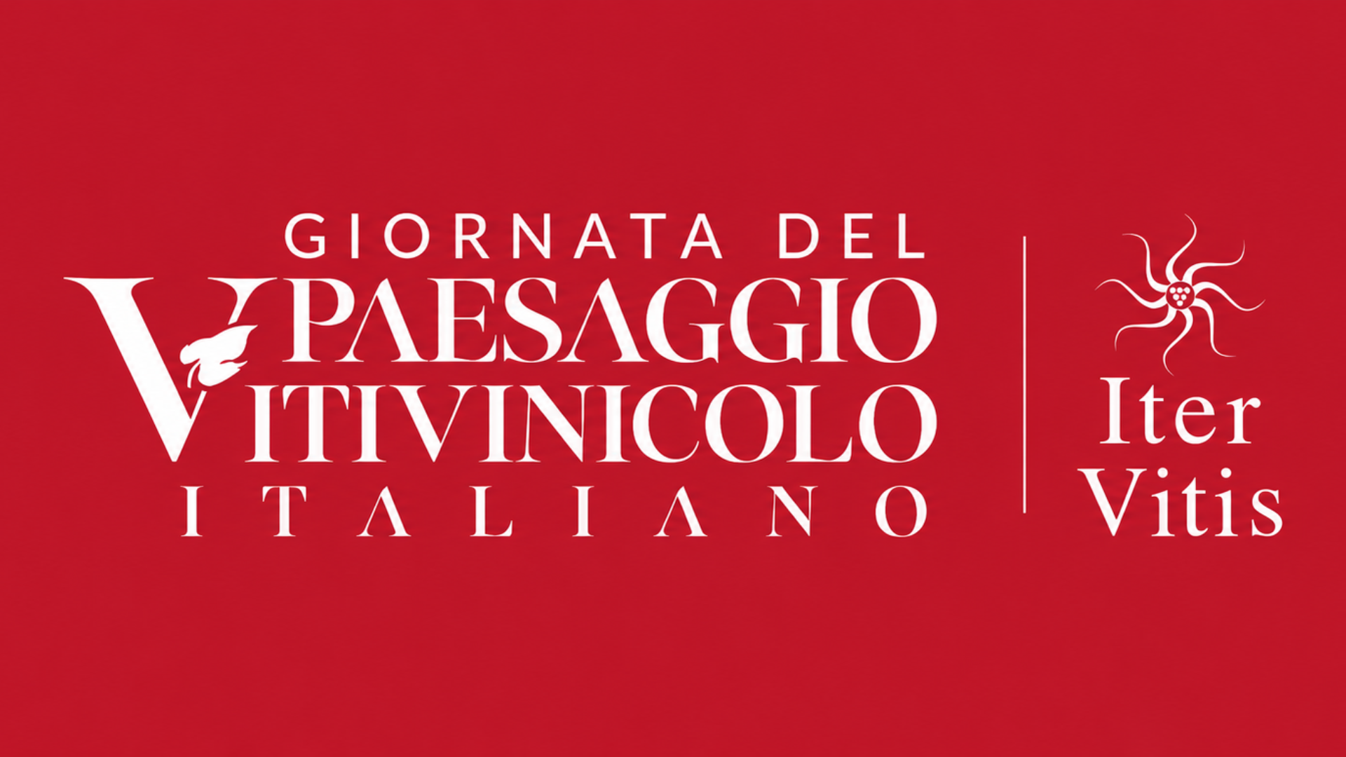 Doctor Wine Calendario (13)