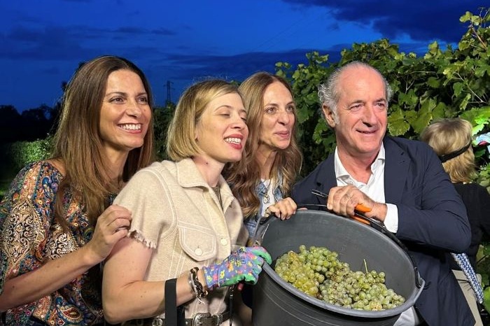 Vendemmia notturna, La vigna di Sarah