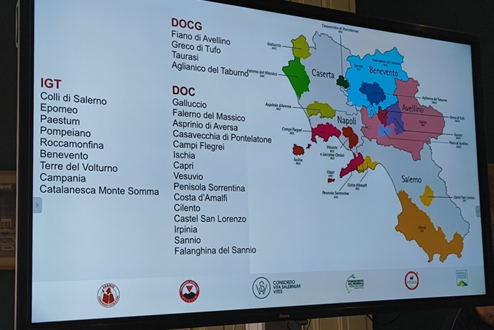 Campania Wine: Campania Wine Regions