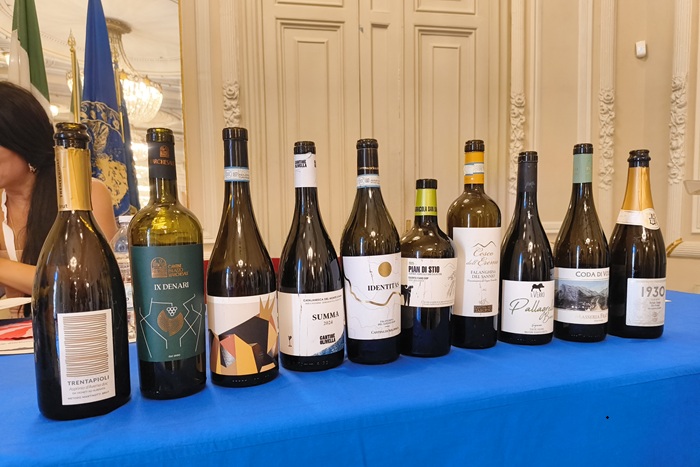 Campania Wine, White Wine Masterclass