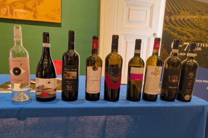 Campania Wine, Red Wine Masterclass