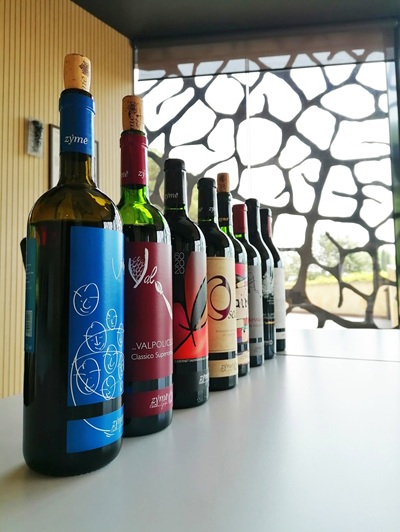 Zýmē vini